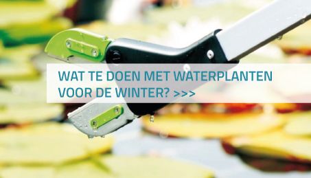 Wat te doen met waterplanten voor de winter?