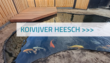 Koivijver Heesch