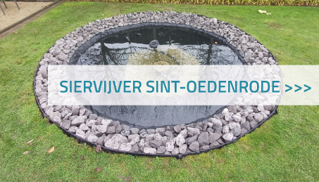 Siervijver Sint-Oedenrode