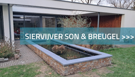 Siervijver Son en Breugel